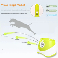 Lanceur de balles de tennis pour animaux de compagnie, jouet pour chien, lanceur automatique de balles, machine à lancer des balles, dispositif de lancer de balles pour promenades avec chien