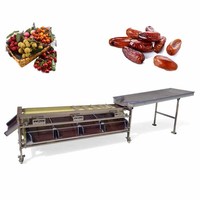 Multifunctionele fruit- en dadels sorteermachine, tracktype dadels sorteermachine, palm rode dadels sorteermachine