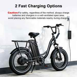 แบตเตอรี่จักรยานไฟฟ้าแบบพกพา EU Stock Seat Tube 36V 13Ah รุ่น Silver Fish ใช้เซลล์ลิเธียม 18650 พร้อมที่ชาร์จ สำหรับชุดมอเตอร์ 250w/350w/500w - Product Image 6