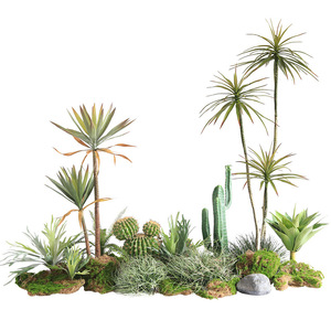 Planta Tropical Artificial de Tacto Real, Combo de Agave, Cactus y Palmera para Paisajismo de Interiores en Espacios Comerciales - Product Image 5