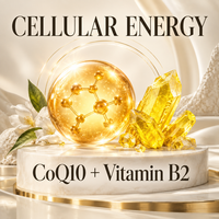 CoQ10 Coenzyme Q10 Riboflavine B2 Bandes de film oral à dissolution rapide 60g OEM ODM Antioxydant Complément Énergétique Cellulaire Anti-âge Cœur