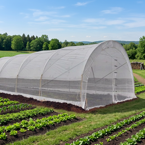 Serre moderne écologique pour la culture de légumes, film anti-UV, irrigation goutte à goutte, structure en fonte, blanche, toutes saisons - Product Image 3