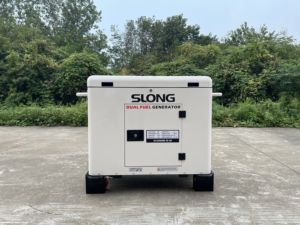 Slong im lặng 10KW Máy phát điện khí dự phòng máy phát điện khí tự nhiên - Product Image 3