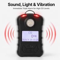 Détecteur de monoxyde de carbone portable HIREP, analyseur de gaz CO portable, moniteur de qualité de l'air, écran LCD, alarme sonore/lumineuse/vibrante