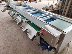 Máquina Clasificadora de Frutas, Dátiles y Cacahuetes por Tamaño, 3 y 4 Grados, Máquina Clasificadora de Arándanos - Product Image 6