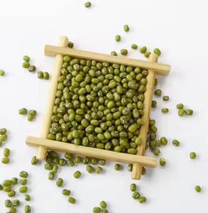 Semillas de brotes orgánicos Premium Sprouting Mung Beans para uso doméstico comercial Alta tasa de germinación Crecimiento rápido Fresh Free Chemical - Product Image 3