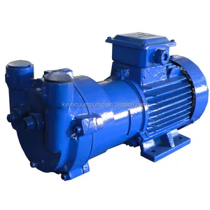 2BV Series Industrial Water Ring Vacuum Pump for Degassing Biogas