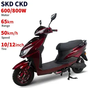 EEC CKD 10/12英寸600/800瓦运动自行车电动摩托车40-50千米/小时速度45-65千米系列新品牌电动轻便摩托车