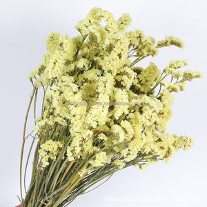 La FÁBRICA DE Yunnan vende directamente flores de ramo secas preservadas, no <span class=keywords><strong>me</strong></span> olvides de la flor para arreglos florales - Product Image 3