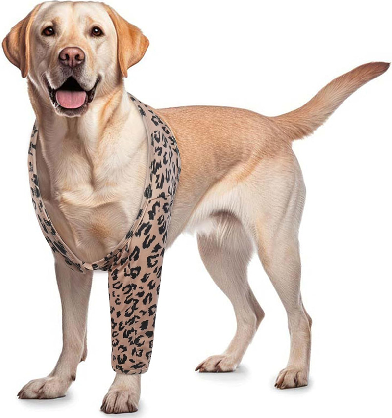 Brown Leopard Print