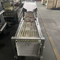 Jiayang Hot Sell Blauwe Bes Sorteermachine, Fruit Sorteermachine, Walnoot Sorteermachine, Knoflook Sorteermachine