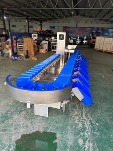 Máquina Clasificadora de Peso para Frutas y Verduras con Orugas de Goma, Clasificadora de Nueces y Pecanas, Clasificadora de Pescado para Procesamiento de Langostas - Product Image 6