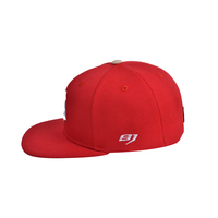 Casquette Snapback Hip-hop en Mousse à 6 Panneaux, Personnalisable avec Logo Brodé, pour Hommes – Vente en Gros