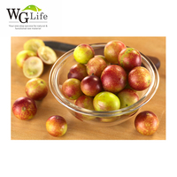 Prix d'usine Extrait de fruit de Camu Camu en poudre 10%-25% Extrait par solvant Qualité alimentaire Vitamine C en emballage en fût