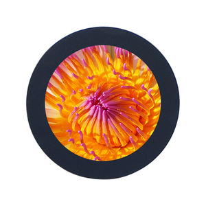 Pantalla Circular TFT de 2.1 Pulgadas, 480x480, LCD Capacitiva Táctil para Reloj Inteligente - Product Image 1