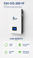 Batterie LiFePO4 51,2 V 200 Ah 10,24 kWh à 6000 cycles de vie, large compatibilité avec les onduleurs, batterie de secours solaire domestique