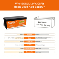 Batterie au lithium rechargeable Lifepo4 12V 100Ah 200Ah 300Ah 400Ah Système d'énergie solaire Batteries au lithium-ion Batterie de stockage Pack de batteries