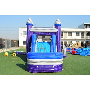 Castillo Inflable Comercial con Tobogán Acuático y Piscina, con Pancarta Extraíble para Alquiler - Product Image 3