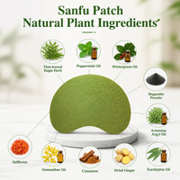 Pansement Chauffant Naturel au Notoginseng pour Soulager les Douleurs aux Épaules, Patch de Soin Articulaire pour la Raideur des Épaules, du Cou et Lombaire, Personnalisable