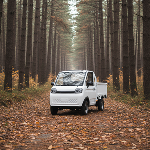Camionnette électrique EEC COC DOT <span class=keywords><strong>Junka</strong></span> 180, double tension, benne d'ingénierie 1800*1300*420, frein à disque sur 4 roues, véhicule utilitaire - Product Image 1