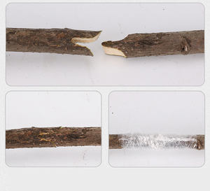 K166-2 उद्यान ग्राफ्टिंग उपकरण संयंत्र शाखा ट्विग बेल फल पेड़ काटने कैंची चीयर प्रूनर किट ग्रेटिंग टेप के साथ - Product Image 6