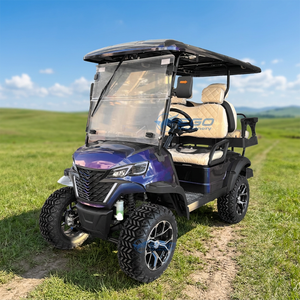 Nouvelle livraison rapide, vente en gros de voiturettes de golf électriques, couleur personnalisée, kart de plage, voiture de golf/visite touristique électrique certifiée CE - Product Image 1