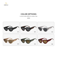 Fournisseur fiable de lunettes de soleil pour femmes de marque Miu Luxury, monture épaisse vintage, style œil de chat, lunettes de soleil rétro œil de chat en acétate