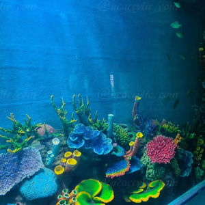 <span class=keywords><strong>Coral</strong></span> Artificial para Acuarios, Color Negro <span class=keywords><strong>Coral</strong></span> <span class=keywords><strong>y</strong></span> Rojo <span class=keywords><strong>Coral</strong></span>, para Decoración de Acuarios <span class=keywords><strong>y</strong></span> Peceras de Cristal Ultra Blanco - Product Image 1