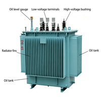 Transformateur de distribution triphasé immergé dans l'huile pour usage agricole et parcs industriels, 30kVA, 63kVA, 80kVA, 100kVA, 125kVA, 6kV, 10kV