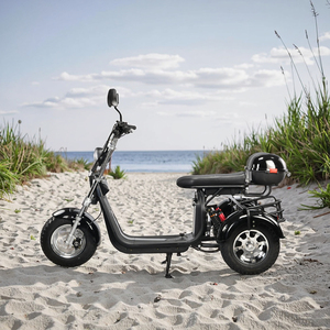 Tricycle 3000W pour adultes avec garantie de 2 ans, pour le golf, les trajets quotidiens et les déplacements légers hors route, capacité de charge de 250 kg - Product Image 4