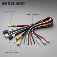 Faisceau de câblage pré-assemblé multi-branche avec connecteur multipol et borne à fourche pour applications industrielles et automobiles