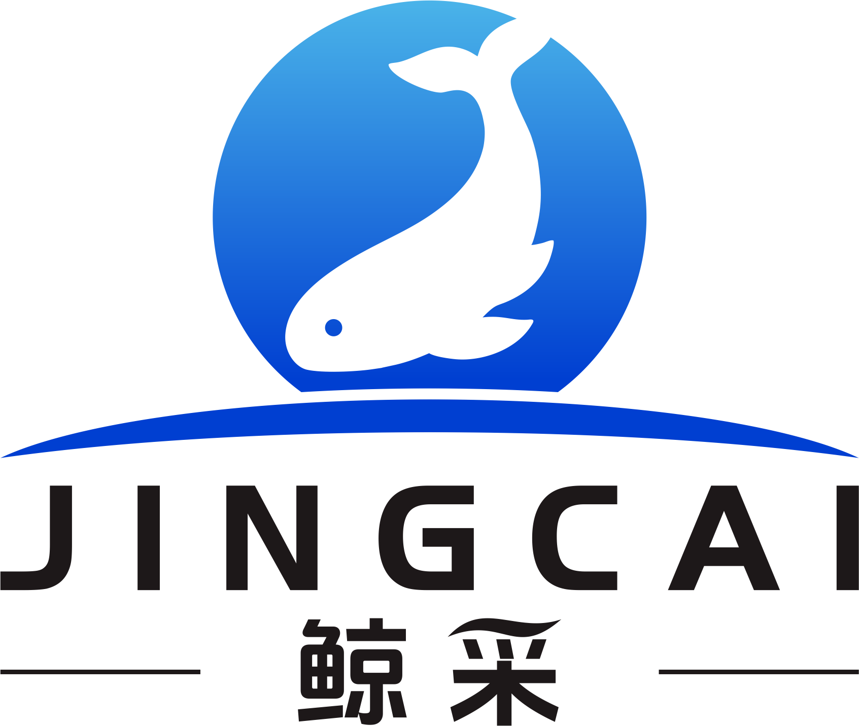 Hangzhou Jingcai Network Technology Co., Ltd. logo