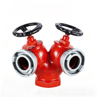 Hydrant d'incendie intérieur SNSS65 à double vanne et double sortie DN65 2,5 pouces en fonte ductile pour la lutte contre l'incendie