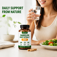 Capsules d'extrait de racine de pissenlit naturel à marque privée, vente directe d'usine, complément alimentaire à base de plantes, échantillon disponible