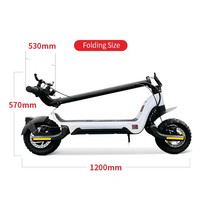 Trottinette Électrique 800W en Promotion, Cadre en Alliage d'Aluminium, Trottinette Pliante à Deux Roues