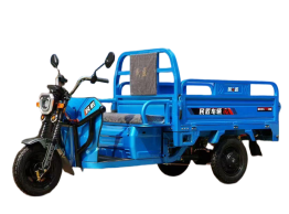 รถบรรทุกไฟฟ้าสามล้อแบบเปิดประทุน พร้อมมอเตอร์ 1000 วัตต์ 60 โวลต์ บรรทุกผู้โดยสาร 3 คน ระยะทางวิ่ง 70-90 กม. - Product Image 5