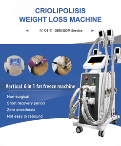 <strong>Cryolipolisis</strong> Machine Portable 360 Cryo For Clinic Use <strong>2</strong> <strong>Handle</strong> Cryotherapy Fat Slimming Device Cold Lipolysis Cool Shaping - Product Image 2