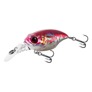 5.8Cm 6G Cứng Mồi Câu Cá Crank Thu Hút 5 Màu Sắc Nhựa Mini Crank Mồi Bionic Cứng Mồi Đúc Dài Mồi Với Móc Mới Đến - Product Image 5