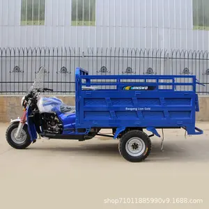 Nouveau Tricycle Motorisé Ouvert pour le Transport de Marchandises, Capacité de Charge de 400 kg, Véhicule Complet pour le Commerce Transfrontalier - Product Image 2