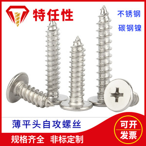 Tornillos Autorroscantes de Acero Inoxidable 304 Jester, Cabeza Plana Phillips, Alta Resistencia a la Corrosión, para Madera - Product Image 5