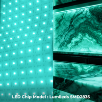 Feuille LED Flexible et Découpable, Rétroéclairage LED RGBW DC24V 512 LED, Blanc Chaud et Froid pour Éclairage de Dalles de Marbre et d'Onyx