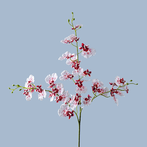 <span class=keywords><strong>Orchidea</strong></span> Danzante 3D Stampata di Alta Qualità con 3 Steli, Simulazione di Phalaenopsis Multicolore, Bouquet Artificiale <span class=keywords><strong>per</strong></span> Decorazioni Matrimoniali e Domestiche - Product Image 3