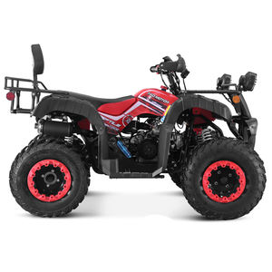 Tao Moteur Automatique Entraînement par Chaîne Hors Route Ferme Cuatrimoto 2 Places ATV <span class=keywords><strong>150cc</strong></span> - Product Image 6