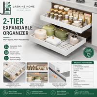 Organisateur de placard de cuisine extensible à 2 niveaux, étagère coulissante pour ustensiles de cuisine, pots à épices, bouteilles et récipients