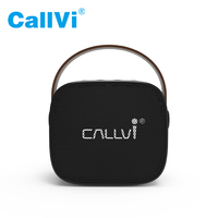 Amplificateur de lecteur de musique Callvi W2 Mini BT haut-parleur de karaoké portable avec microphone portable sans fil
