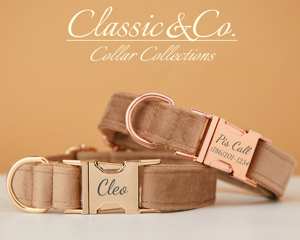 Collar y Correa Personalizados para Perro Coffee Veet con Lazo de Flores y Placa Grabada con Nombre Silencioso, Tamaños Pequeño/Mediano/Grande, Regalo para Cachorros de Boda - Product Image 2