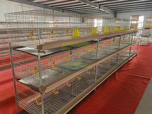 Attrezzature per Allevamenti Avicoli: Gabbie per Polli in Rete Metallica Zincata, Gabbie per Broiler in Vendita - Product Image 5