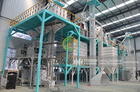 Usine de traitement de grains personnalisable de haute qualité nettoyeur de graines de haricots rouges nettoyeur de grains de café de soja avec moteur