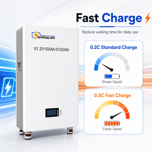 51.2V 100Ah LiFePO4 <b>Battery</b> Pack Wall Mounted Lithium Ion <b>Batteries</b> Pack for Solar Home Energy Storage System - Product Image 4