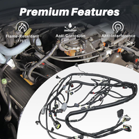 Harnais de câblage électrique automobile OEM, étanche, isolation en PVC et nylon, durable, harnais de câblage personnalisé pour application automobile